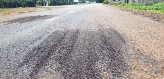Người dân đổ bọ đậu đen ra ngoài đường cho các phương tiện qua lại giẫm chết.