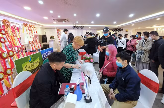 WCF National Cat show in Vietnam là cuộc thi về mèo lần đầu tiên được tổ chức tại Việt Nam dưới sự bảo trợ của World Cat Federation (WCF) – Liên đoàn Mèo lớn nhất Thế giới.