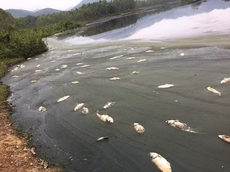 Vào tháng 10-2019, hồ Ngả Hai từng bị ô nhiễm nghiêm trọng.