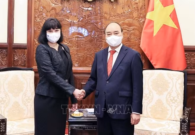 Chủ tịch nước Nguyễn Xuân Phúc tiếp Đại sứ Romania, bà Cristiana Romila. Ảnh: Thống Nhất/TTXVN