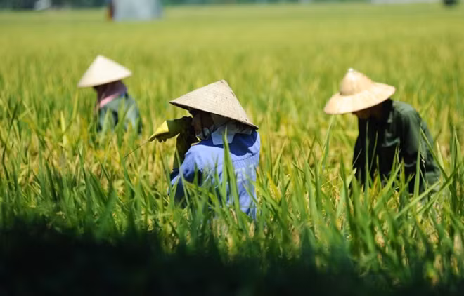 Nắng nóng trên 37 độ C bao trùm miền Bắc.