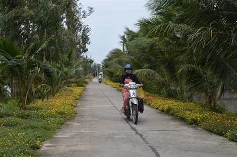 Sắc màu nông thôn mới ở Hòn Đất. Sắc màu nông thôn mới ở Hòn Đất.