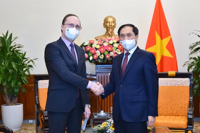 Bộ trưởng Ngoại giao Bùi Thanh Sơn tiếp Đại sứ Liên bang Nga tại Việt Nam Gennady Bezdetko ảnh 1