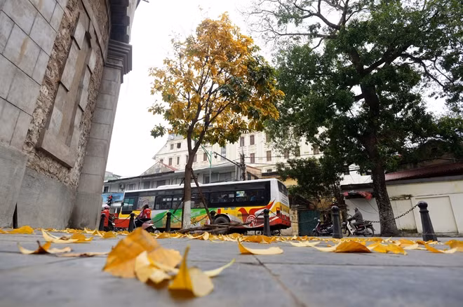 Hà Nội mùa cây thay lá, những con phố dường như khoác lên mình một tấm áo mới với màu sắc vui tươi, vừa có chút bình dị, rêu phong, lại vừa mơn mởn một sức sống mới.