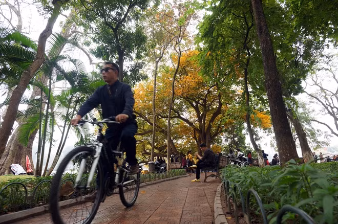 Với hầu hết người dân Hà Nội, đi trên những con đường đang mùa cây thay lá bỗng cảm giác lòng bình yên và thư thái trước những xô bồ, ồn ào của phố thị