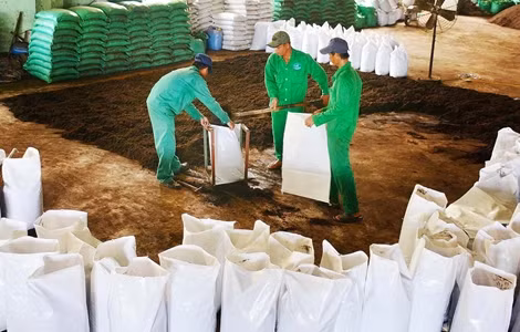 Chính phủ và doanh nghiệp cần có hành động chung để kích hoạt một nền kinh tế tuần hoàn ảnh 6