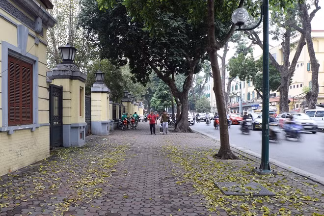 Cùng với phố Trích Sài và phố Trần Đăng Ninh, trong thời gian tới, vỉa hè của hơn 100 tuyến phố trên nhiều quận, huyện ở Hà Nội được thay thế bằng lớp gạch mới.