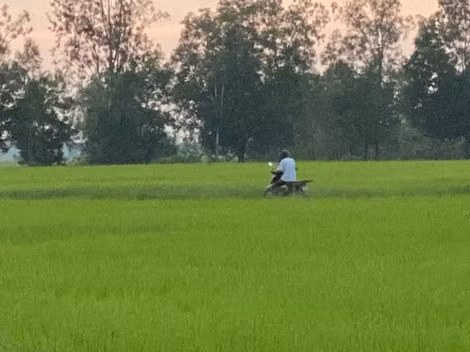 "Nài" đang sang bên kia biên giới chuẩn bị cho chuyến "chẻ" thuốc lá vào nội địa.