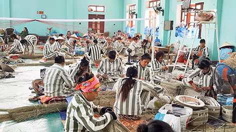 Đội làm cói của phạm nhân Bích ở Trại giam Ninh Khánh.