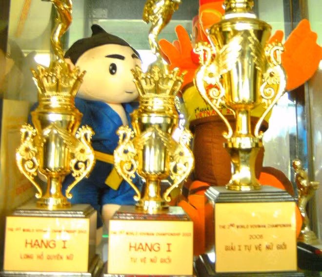 Những chiếc cúp gắn với vinh quang của võ sư Phạm Thị Phượng.