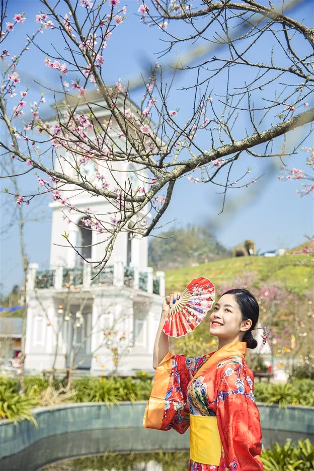 Những cây hoa đào bừng nở rạng rỡ giữa tiết trời ấm áp của mùa xuân. “Nhân dịp 8/3, tôi đã cùng nhóm bạn lên đây chơi và vô cùng bất ngờ trước vẻ đẹp của rừng hoa đào trên đỉnh Fansipan. Chưa bao giờ tôi được nhìn thấy những cây hoa anh đào và đào rừng đẹp xuất sắc như thế này. Trước đây thấy bạn bè đi du lịch Nhật Bản chụp ảnh với rừng hoa anh đào, tôi cứ nghĩ không biết bao giờ mình mới có cơ hội như thế. Bây giờ thì không cần phải mơ ước nữa rồi, Fansipan đã đem cả trăm cây hoa anh đào đủ loại về đây, thật tuyệt vời”- chị Hồng Hạnh (Hà Nội) chia sẻ. Những cây hoa đào bừng nở rạng rỡ giữa tiết trời ấm áp của mùa xuân. “Nhân dịp 8/3, tôi đã cùng nhóm bạn lên đây chơi và vô cùng bất ngờ trước vẻ đẹp của rừng hoa đào trên đỉnh Fansipan. Chưa bao giờ tôi được nhìn thấy những cây hoa anh đào và đào rừng đẹp xuất sắc như thế này. Trước đây thấy bạn bè đi du lịch Nhật Bản chụp ảnh với rừng hoa anh đào, tôi cứ nghĩ không biết bao giờ mình mới có cơ hội như thế. Bây giờ thì không cần phải mơ ước nữa rồi, Fansipan đã đem cả trăm cây hoa anh đào đủ loại về đây, thật tuyệt vời”- chị Hồng Hạnh (Hà Nội) chia sẻ.
