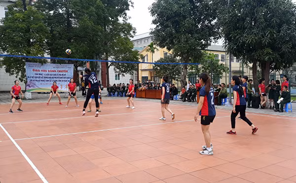 Giao hữu bóng chuyền Giao hữu bóng chuyền