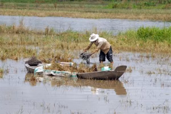 Việc thiếu phù sa sẽ ảnh hưởng lớn tới năng suất nông nghiệp tại ĐBSCL. Ảnh minh họa Việc thiếu phù sa sẽ ảnh hưởng lớn tới năng suất nông nghiệp tại ĐBSCL. Ảnh minh họa