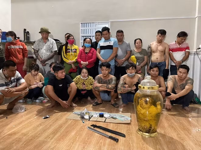 Các đối tượng đánh bạc tổ chức đánh bạc và cá thể hổ ngâm rượu được phát hiện tại sới bạc.