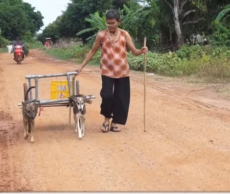 Cỗ xe chó của bà Mỹ thong dong trên đường quê.