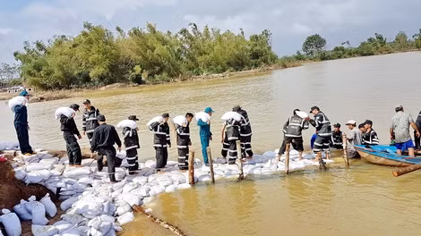 CBCS CSCĐ Tiểu đoàn 1 đào đắp, khôi phục bờ đê Gò Ông Ngôn ở xã Phước Hòa, huyện Tuy Phước (Bình Định). CBCS CSCĐ Tiểu đoàn 1 đào đắp, khôi phục bờ đê Gò Ông Ngôn ở xã Phước Hòa, huyện Tuy Phước (Bình Định).