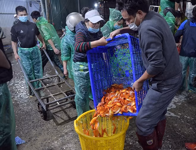 Chợ cá Yên Sở từ lâu đã trở thành địa chỉ cho nhiều tiểu thương đến chọn mua cá mỗi dịp Tết ông Công, ông Táo.