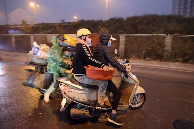 Các tiểu thương vận chuyển cá chép đi khắp các khu vực chợ nội thành Hà Nội.