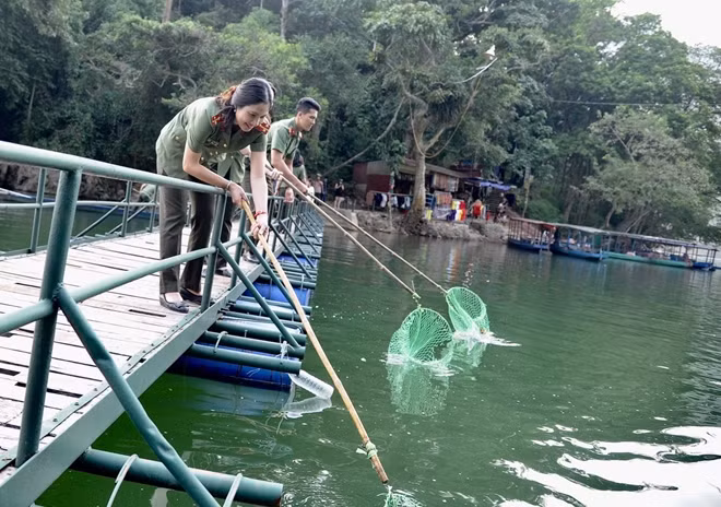 Cũng trong ngày 28-9, Đoàn công tác Báo CAND cùng với Đoàn thanh niên công an tỉnh Bắc Kạn đã tiến hành dọn rác trên mặt hồ Ba Bể.