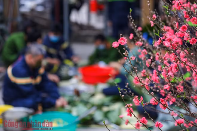 Ngày 8/2 (nhằm ngày 27 tháng Chạp), đã thành thông lệ, cán bộ chiến sỹ Đội Cảnh sát Phòng cháy chữa cháy và Cứu nạn cứu hộ (PCCC và CNCH), Công an quận Bắc Từ Liêm lại cùng quây quần bên nhau gói bánh chưng đón Tết ngay tại đơn vị.