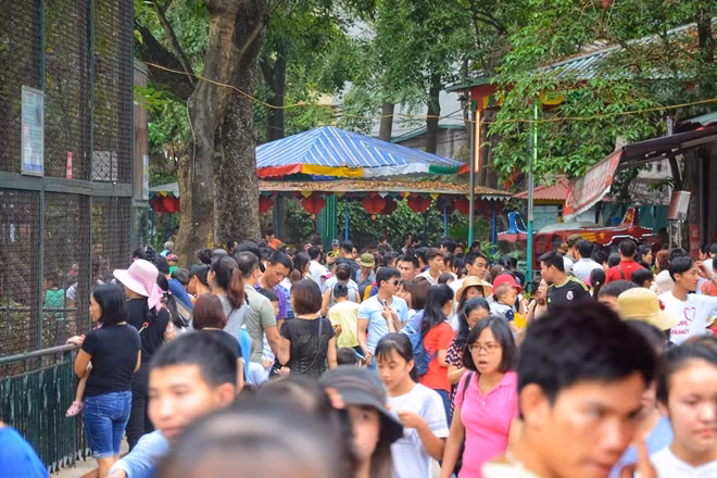 Bên trong công viên, cảnh tượng cũng không khá hơn là mấy.