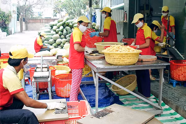Kinh tế tư nhân là một động lực quan trọng để phát triển kinh tế.