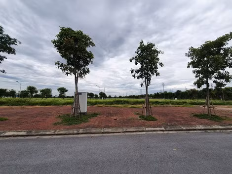 Những khu đất tiền tỷ như bị bỏ hoang.