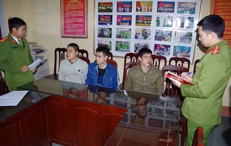 Các đối tượng cướp chó bị bắt giữ tại cơ quan Công an.