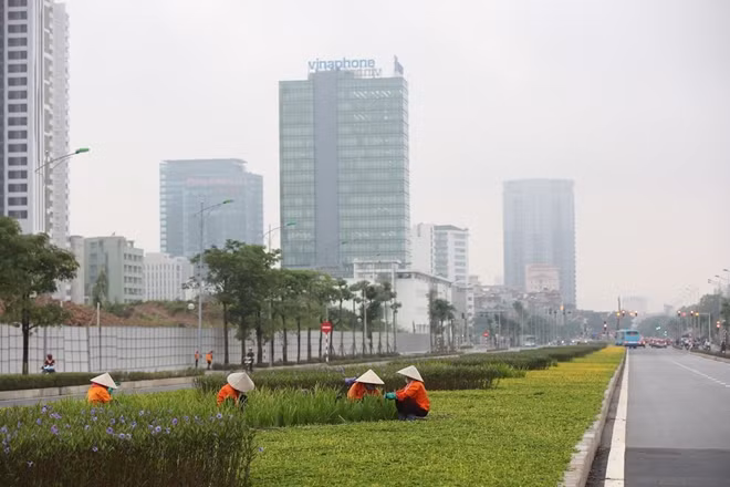 Công nhân chăm sóc thảm cỏ và hoa trên dải phân cách giữa đường.
