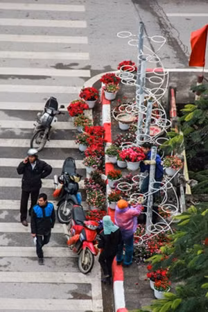 Công nhân đang thay thế những chậu hoa mới.