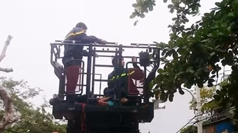 Sau 4 giờ trên cây, người này thấm mệt nên Cảnh sát đã khống chế và đưa xuống dưới an toàn.