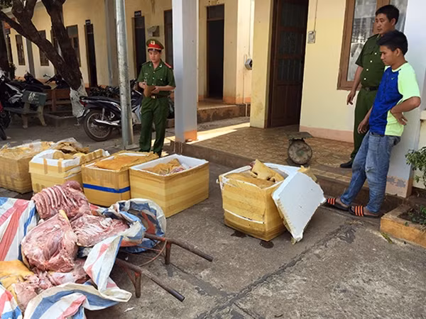 Số thịt heo bốc mùi hôi thối được bắt giữ tại cơ quan điều tra.