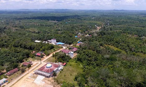 Khu vực Sepaku tại tỉnh Đông Kalimantan, nơi được chọn để đặt thủ đô mới của Indonesia. Khu vực Sepaku tại tỉnh Đông Kalimantan, nơi được chọn để đặt thủ đô mới của Indonesia.