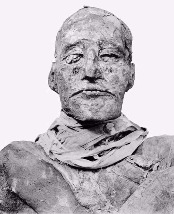 Pharaoh Ramses III được cho là chết bởi âm mưu ám sát của Nữ hoàng Tiye.