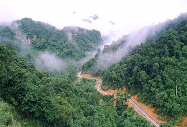 Rừng Trung Trường Sơn.