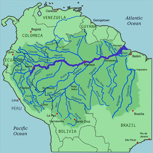 Bản đồ hiển thị lưu vực sông Amazon với sông Amazon được làm nổi bật. Ảnh: Wikipedia.