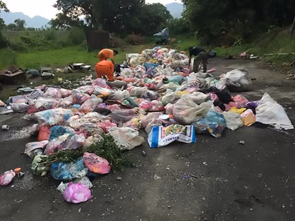 Miệt mài bới rác tìm nhẫn.