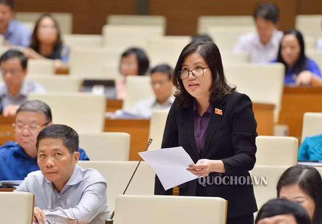 Đại biểu Đinh Thị Phương Lan.