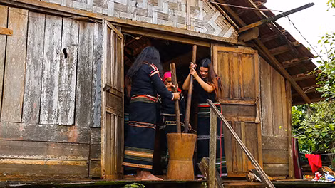 Giã cà phê - một cách chế biến truyền thống của người Ê-đê.