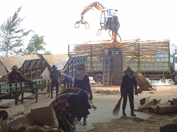 Hoạt động thu mua gỗ, chế biến dăm gỗ tại một công ty ở Gio Mai, huyện Gio Linh.