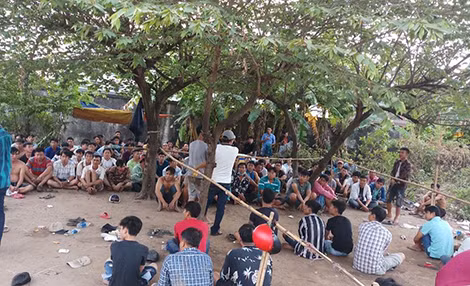 Hàng trăm đối tượng tham gia cá độ đá gà bị bắt quả tang.