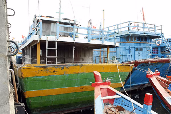Những con tàu bị “bỏ rơi” neo đậu tại cảng Tịnh Hòa. Những con tàu bị “bỏ rơi” neo đậu tại cảng Tịnh Hòa.