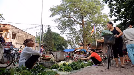 Một góc chợ Nôm.