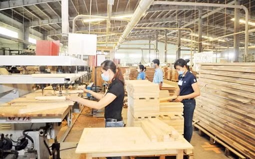 Mỹ là thị trường xuất khẩu lớn nhất của Việt Nam ảnh 2