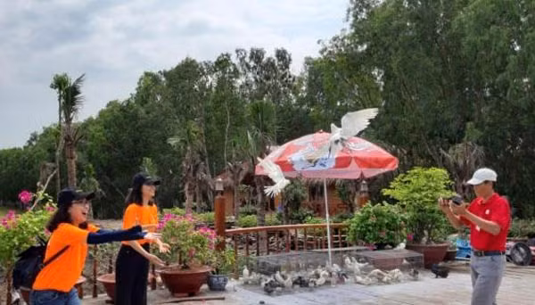 Những chú bồ câu thân thiện đón du khách thập phương. Những chú bồ câu thân thiện đón du khách thập phương.