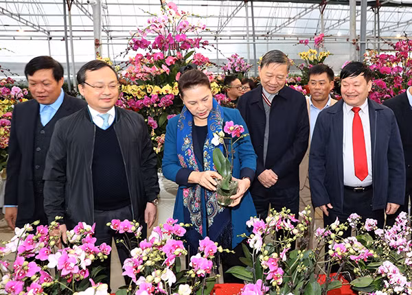 Chủ tịch Quốc hội Nguyễn Thị Kim Ngân thăm mô hình mới trồng hoa, cây cảnh ở xã Xuân Quan, huyện Văn Giang. Ảnh: TTXVN.