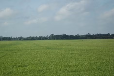 Chuyển hồ sơ điều tra vụ Phó Chủ tịch Hội Nông dân “rút ruột” tiền hỗ trợ nông dân ảnh 4