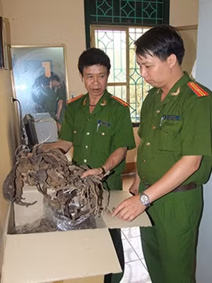 Tang vật vụ buôn lậu 10.000 tấn lá thuốc lá.