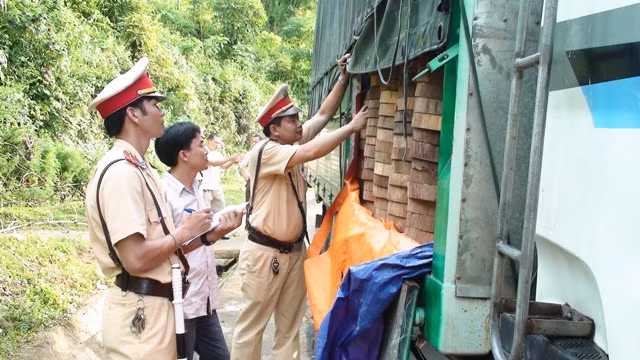 Lực lượng CSGT Công an tỉnh phát hiện, thu giữ gần 10.000 thớt gỗ nghiến không giấy tờ trên tuyến Quốc lộ 6 năm 2012.