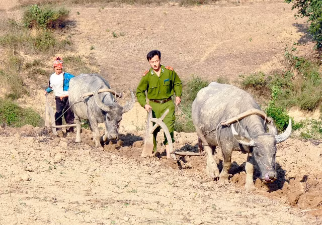 Cán bộ Công an huyện Tuần Giáo giúp nhân dân lao động sản xuất tại bản Đề Chia B, xã Pú Nhung, huyện Tuần Giáo năm 2010.